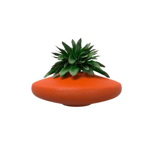 Macetas bonsai